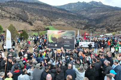 Bursa Gürsu’da yangın bölgesi yeniden hayat buluyor
