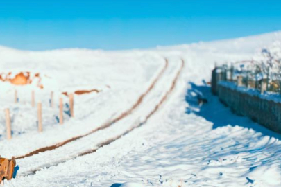 Batman, son 19 yılın en yüksek kar kalınlığına ulaştı