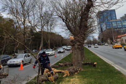 İstanbul’da lodos etkili oluyor