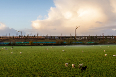 Rolls-Royce’dan Görkemli ve Eşsiz Bir 2025 Yılı