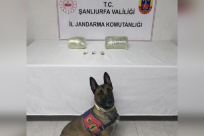 Şanlıurfa 'da uyuşturucu operasyonu