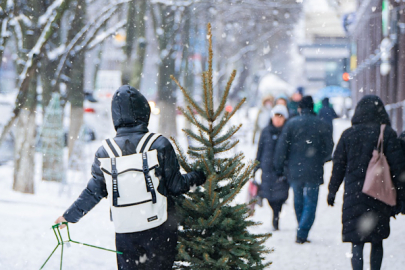 Sivas'ta eğitime 1 gün ara verildi