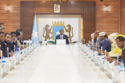 Somali, BAE ile yaptığı tüm anlaşmaları iptal etti