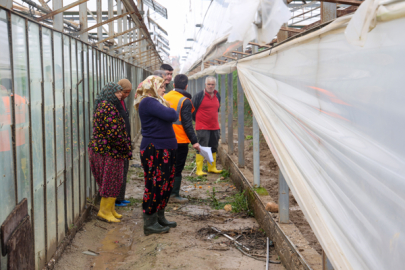 Antalya’da afetten zarar gören seralarda hasar tespiti yapılıyor