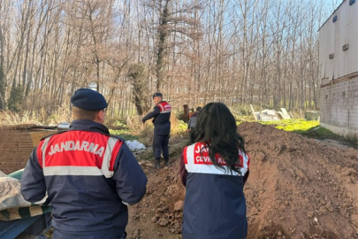 Sakarya’da mevzuata aykırı faaliyet gösteren tavuk çiftliğine ceza ve kısıtlama