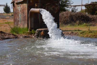 Şanlıurfa’da elektriğin yarısı kaçak tüketiliyor