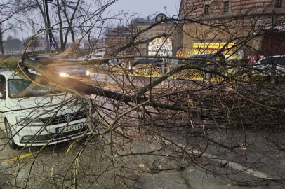 Edirne'de Fırtına: Ağaçlar Devrildi, Araçlar Hasar Gördü