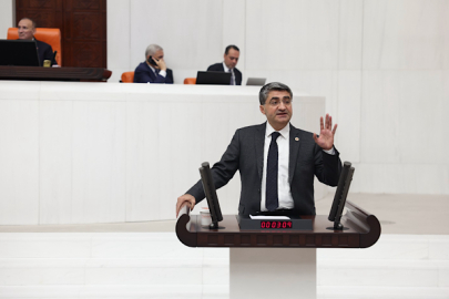 Ekmen: Büyükbaş hayvancılıkta Türkiye adeta bir ithalat cennetine dönmüştür