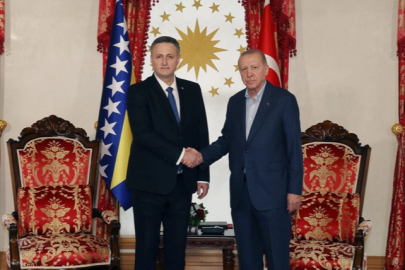 Cumhurbaşkanı Erdoğan, Beçiroviç'i Dolmabahçe 'de ağırladı