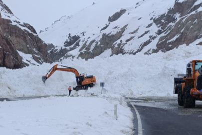 Van-Hakkari karayolunda düşen çığ sebepli çok sayıda araç mahsur kaldı