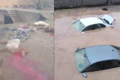 Siirt sele teslim, onlarca hayvan telef oldu