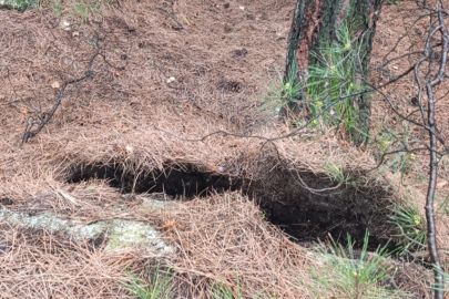 Tokat’ta heyelan ve kaya düşmesi nedeniyle 13 daire tahliye edildi
