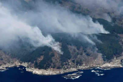 Japonya, orman yangınlarını söndürmek için 1.400 itfaiyeci görevlendirdi.