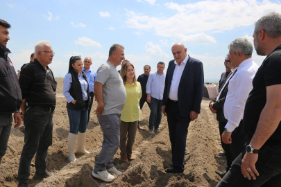 Konya’da yerli tohum ile patates atağı