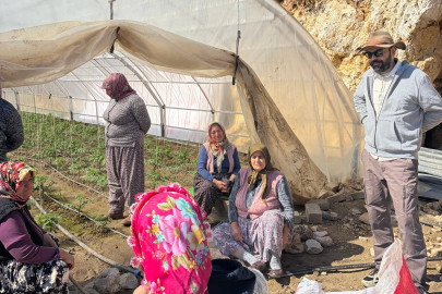 Enerjisa Üretim, “Onarım Enerjisi” ile Onarıcı Tarımı Destekliyor