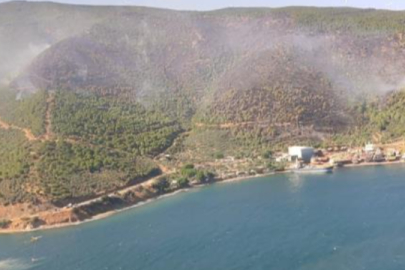 Bursa Gemlik'te orman yangını kontrol altına alındı! İtfaiye ekipleri alev kapanında mahsur kaldı