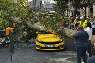 İstanbul Şişli’de çınar ağacı trafikte iki aracın üzerine devrildi