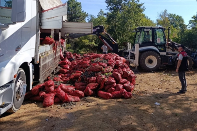 Bursa Orhangazi’de denetim: Nakil belgesiz yaklaşık 8 ton midye ele geçirildi