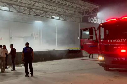 Bursa İznik’te soğuk hava deposunda yangın paniği
