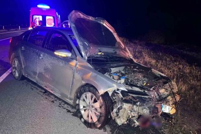 Kastamonu’da korkutan kaza: Otomobil domuz sürüsüne çarptı